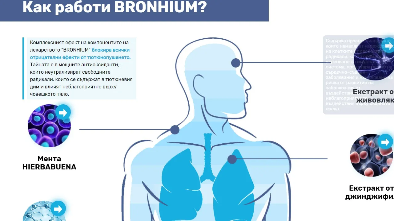 «Bronhium» : състав само натурални съставки.