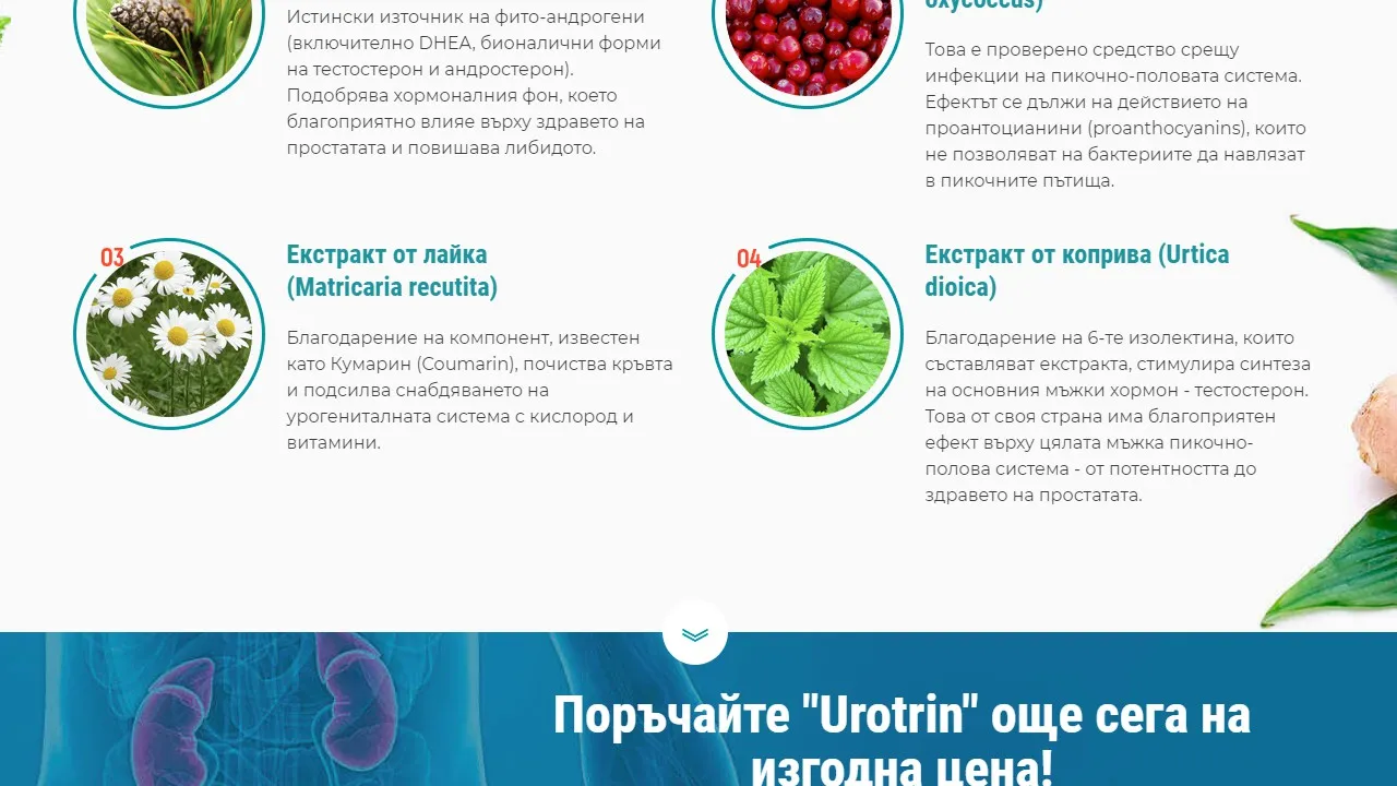 «Urotrin» : състав само натурални съставки.